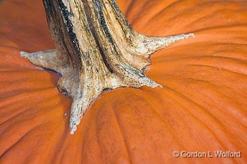 Pumpkin Top_24337.jpg - Photographed in Lebanon, Ohio, USA.